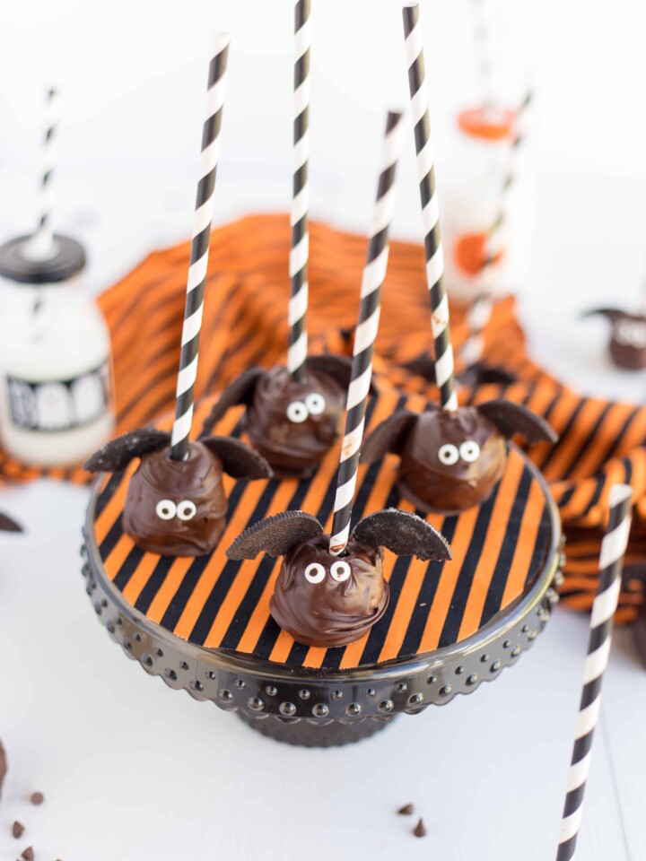 Date Chocolate Brownie Bat