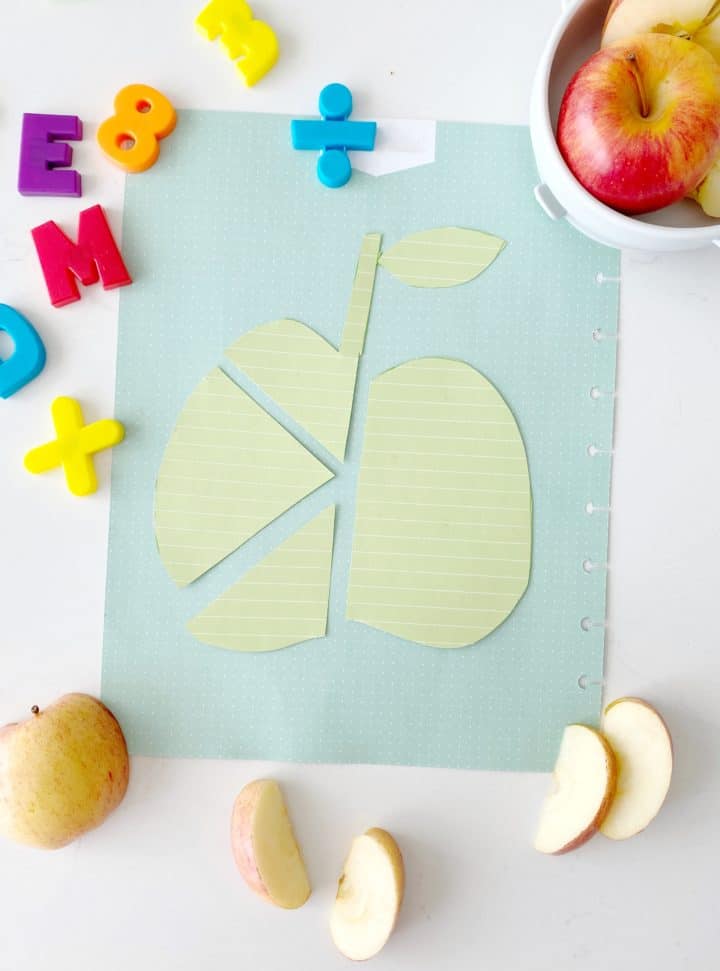 per with split paper apple and letters and real apples