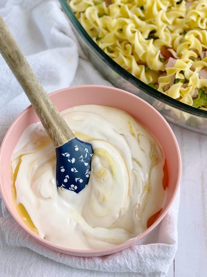 bowl of sour cream next to noodles 