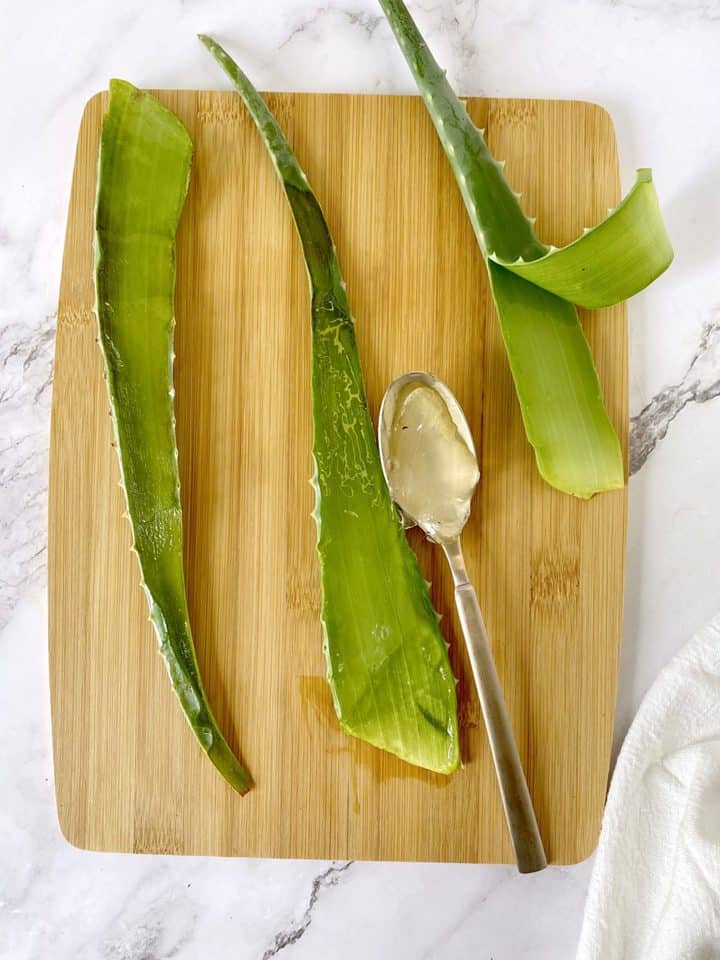 aloe vera plant with spoon of filling