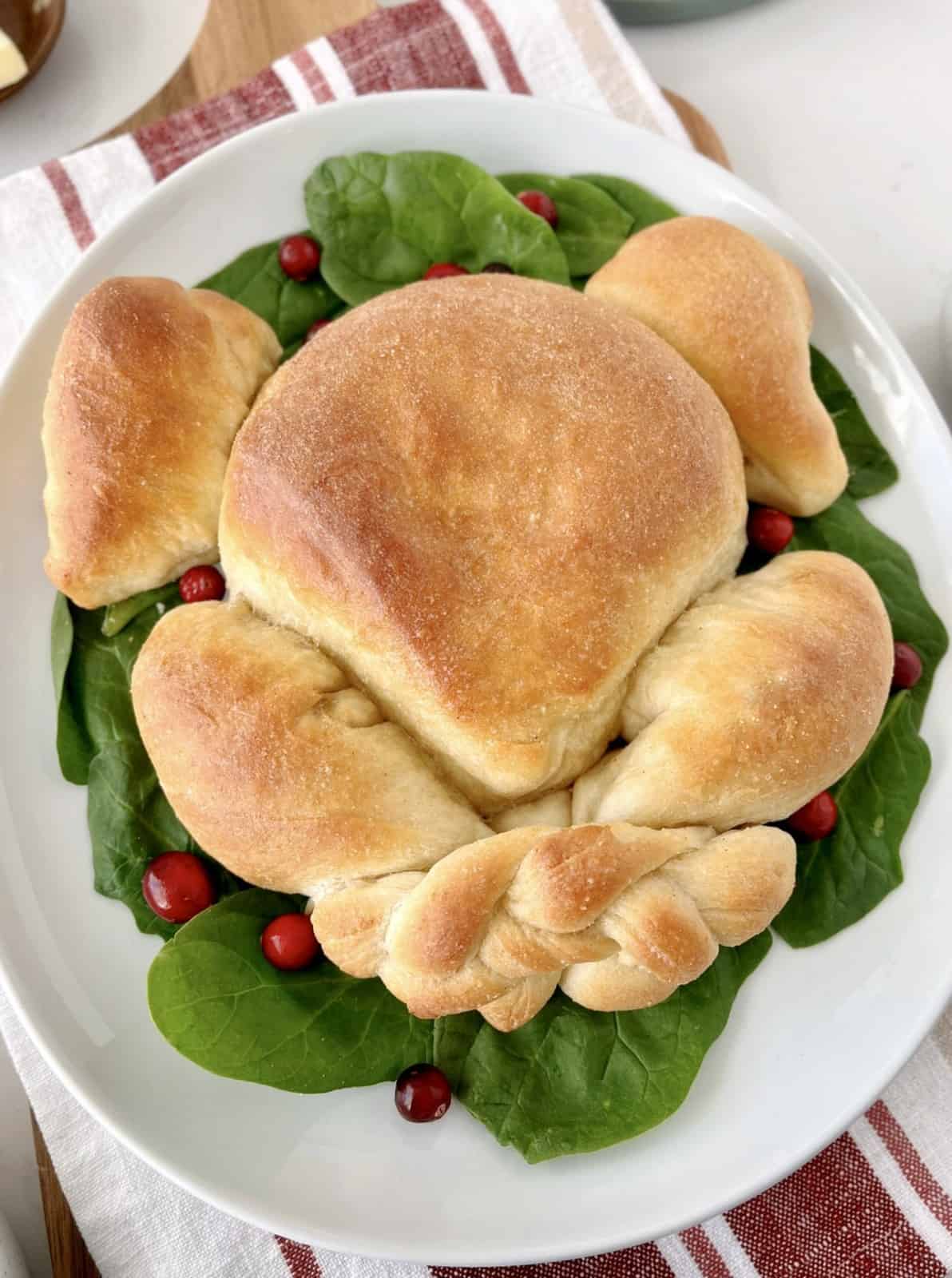 turkey bread on bed of spinach with cranberries 