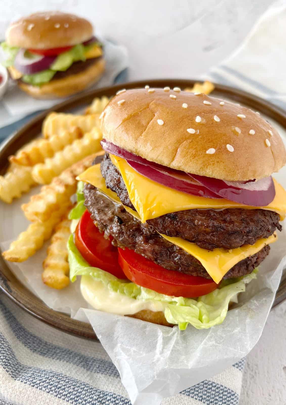 close up of hamburger with fries